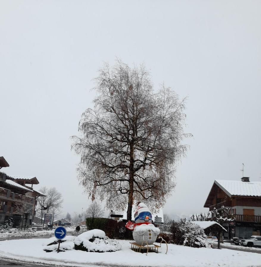 Samoens Studio Apartment