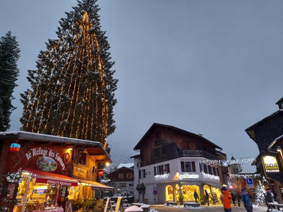 Samoens Studio Apartment